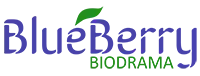 blueberry-logo-site